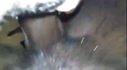 Có kinh nghiệm brunette da ngăm đen với bộ ngực lớn fucked tuyệt pim sec nhat vời.
